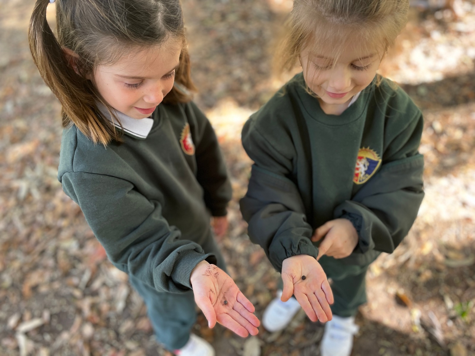 KINDER - VISIT BOTANICAL GARDEN